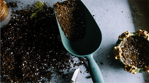 Gardening supplies such as soil, pots, and tools