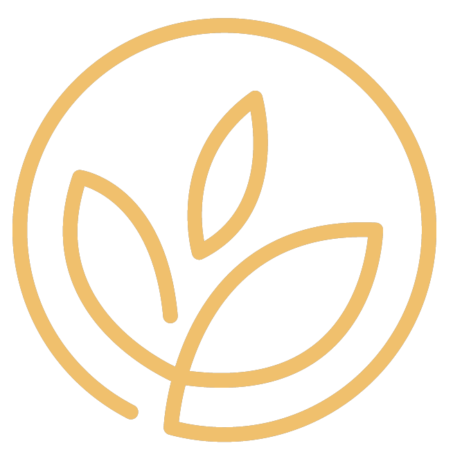 Bloom Valley Nursery logo